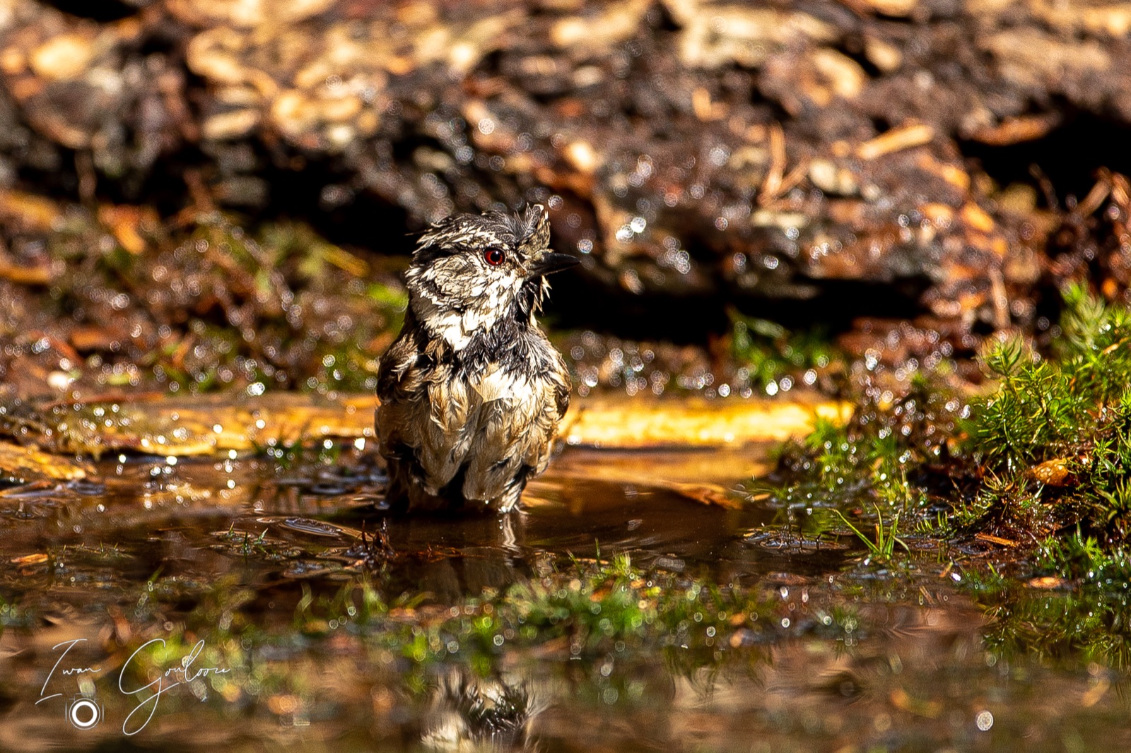 27 april 2022 145008  5D47972